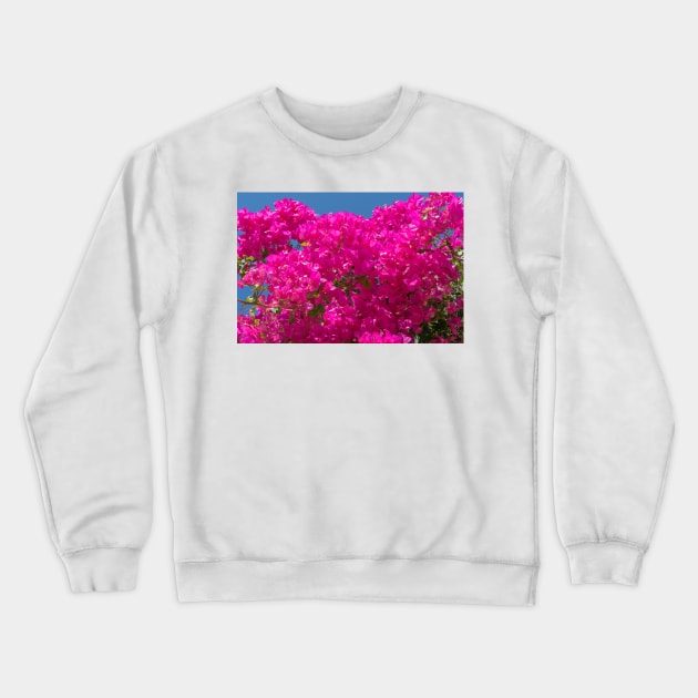 Bright pink bougainvillea flowers and vine Crewneck Sweatshirt by brians101